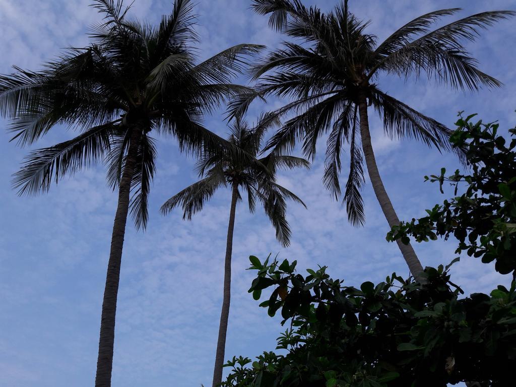 Bach Duong Hotel Phan Thiet Eksteriør bilde